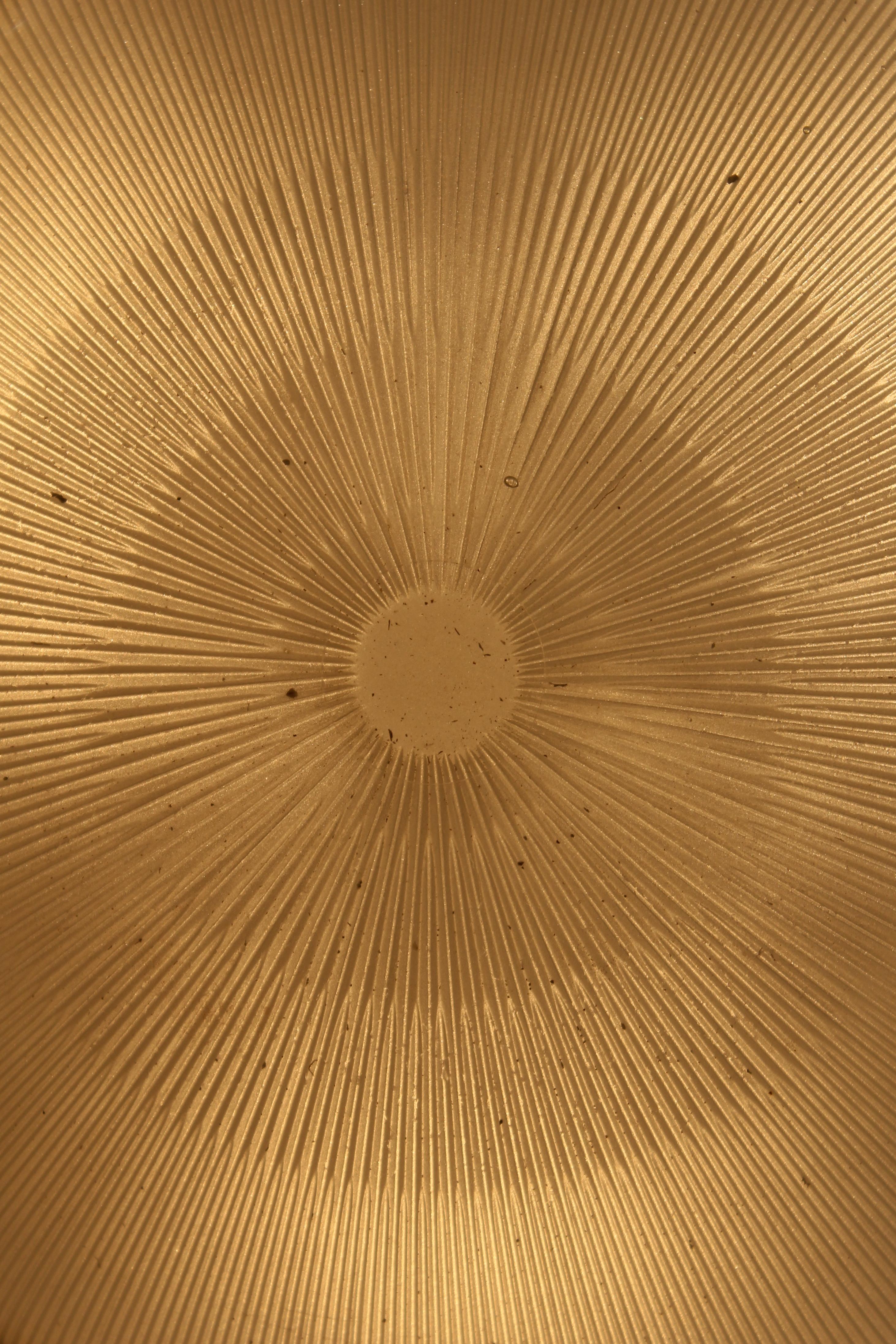 Mid-Century Suspension Lamp mod. 