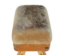 Mid century Swedish pine gym horse