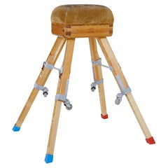 Mid century Swedish pine gym horse