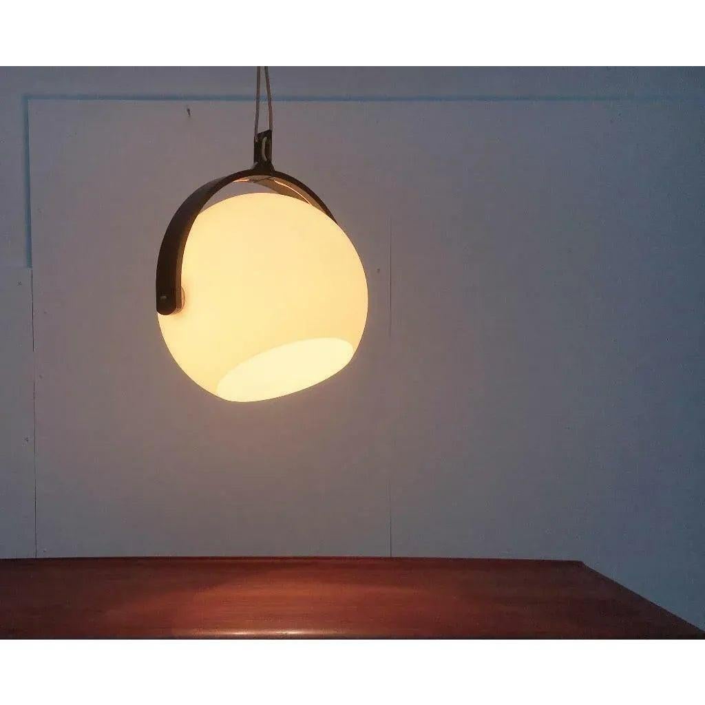 Lampada a sospensione in plastica e compensato di Temde, anni '60, Svizzera, metà secolo. in vendita 3