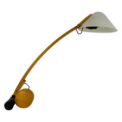 Mid-Century Table Lamp by Domus, 1960s