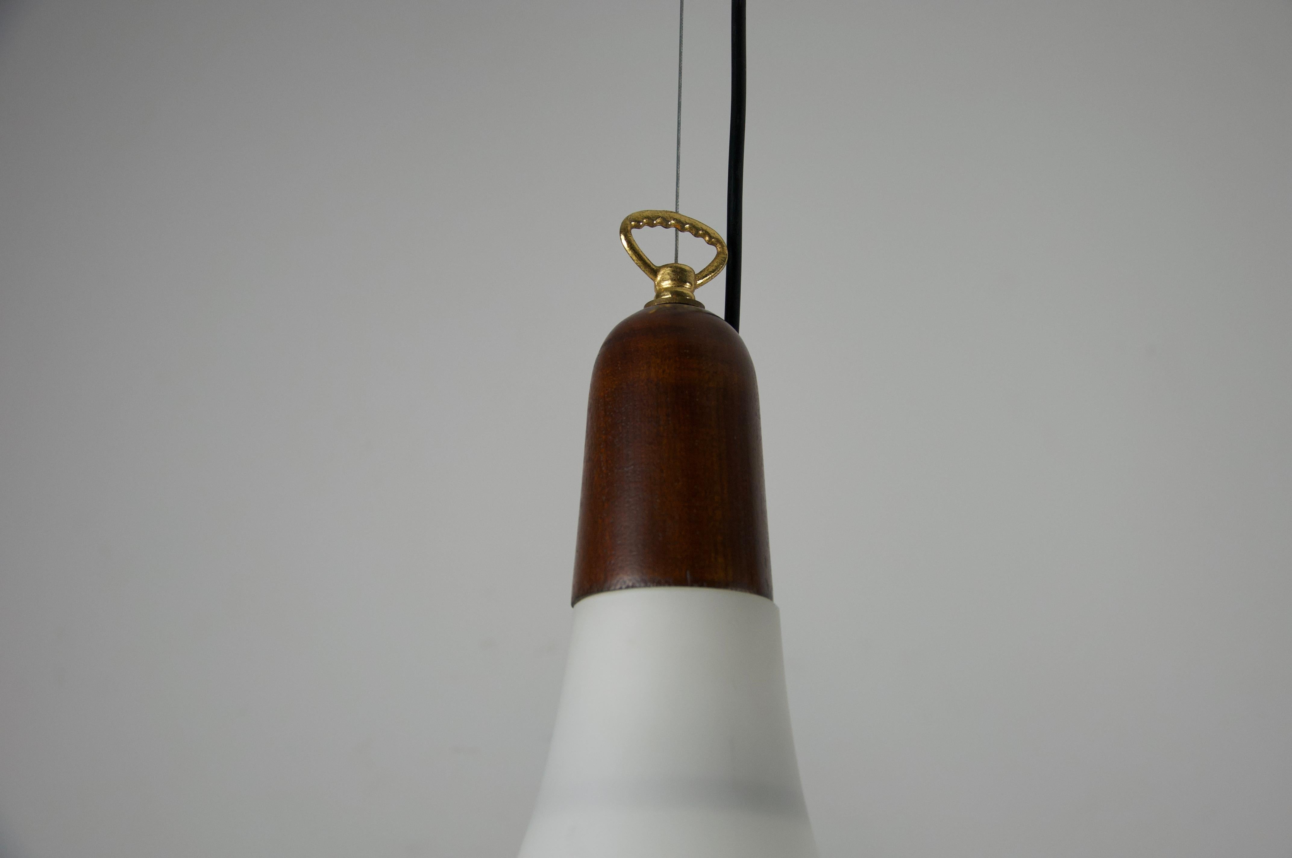 Lampe suspendue en teck et verre opale du milieu du siècle, Italie, années 1960 Bon état - En vente à Hagenbach, DE