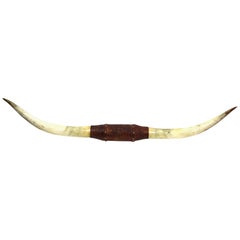 Midcentury Texas Longhorn Mounted with Tooled Leather