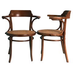 Silla de comedor Thonet de mediados de siglo Madera curvada con caña Años 50 Juego de 2