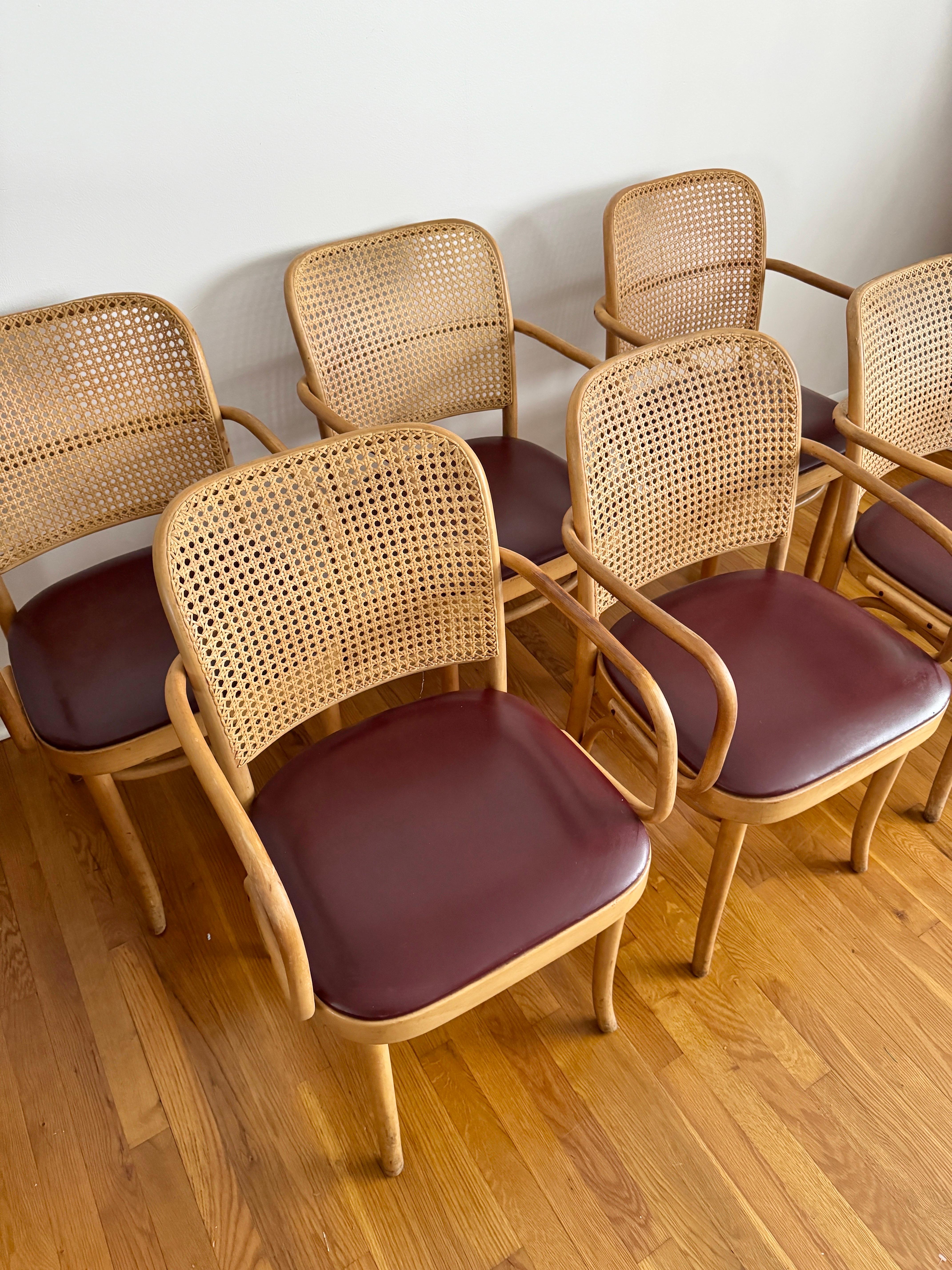 American Mid Century Thonet Style Bentwood Chairs Chairs - Set of 6
