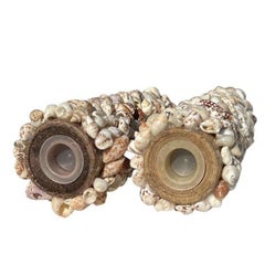 Mid Century Traditional Sea Shell and Brass Salt and Pepper Shakers - a Pair