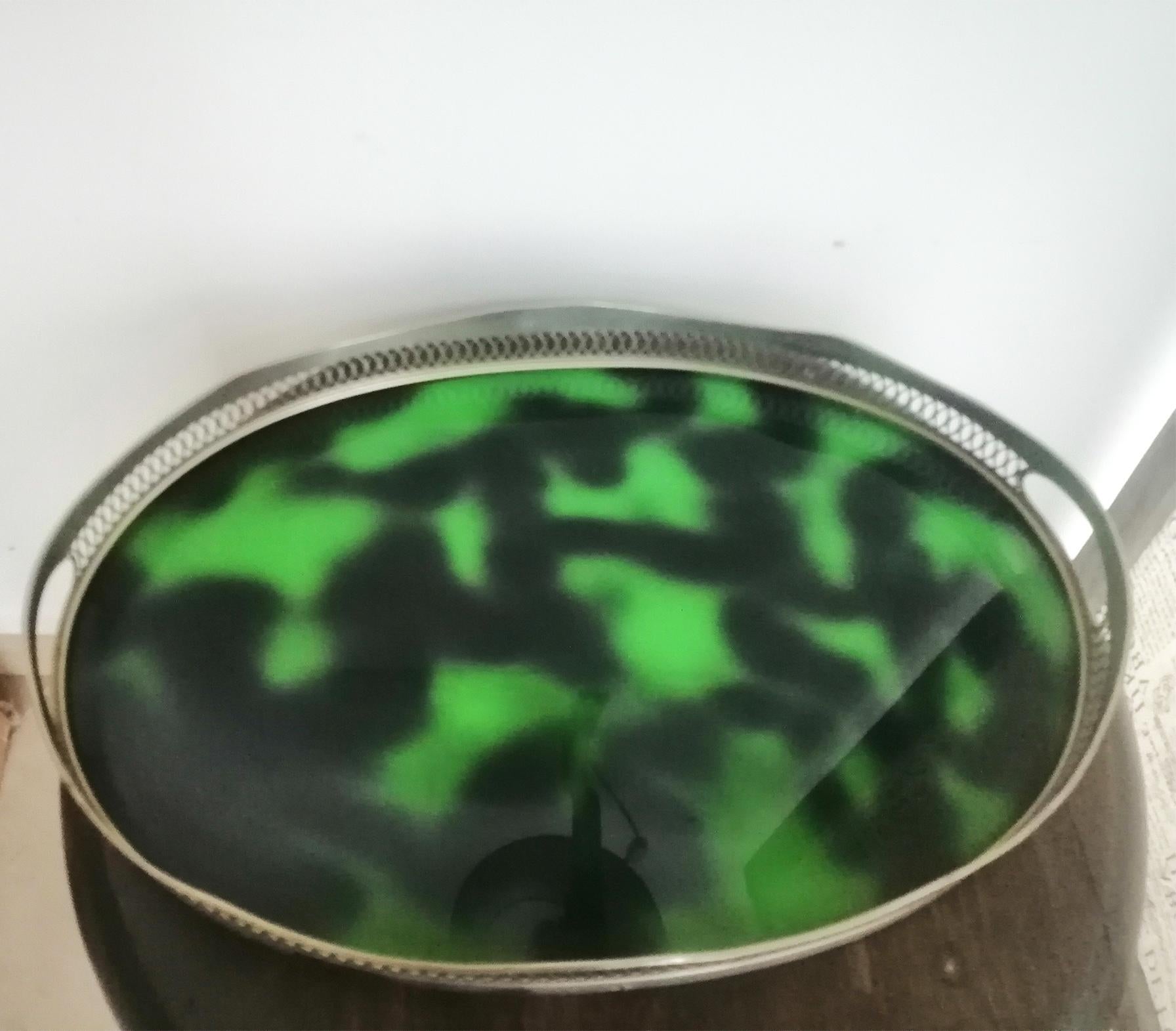 green tortoise shell