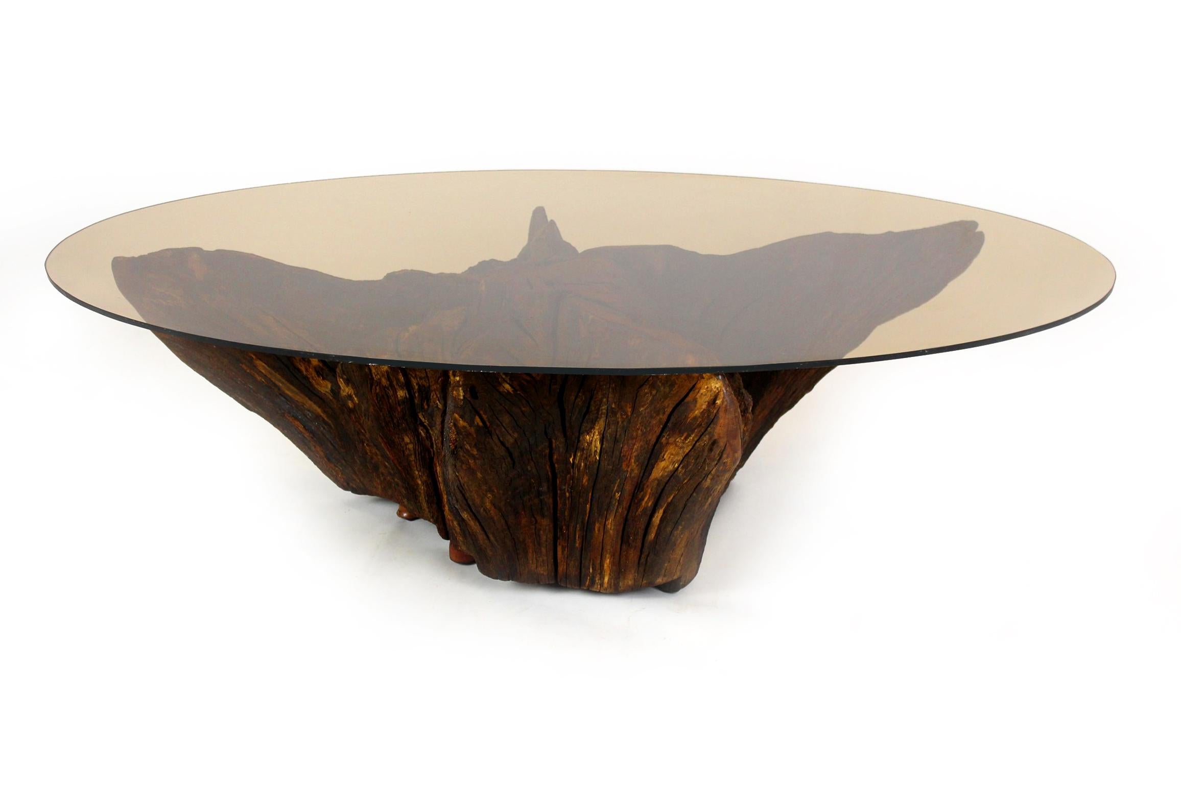 Mid Century Tree Root Coffee Table with Glass Top For Sale 11