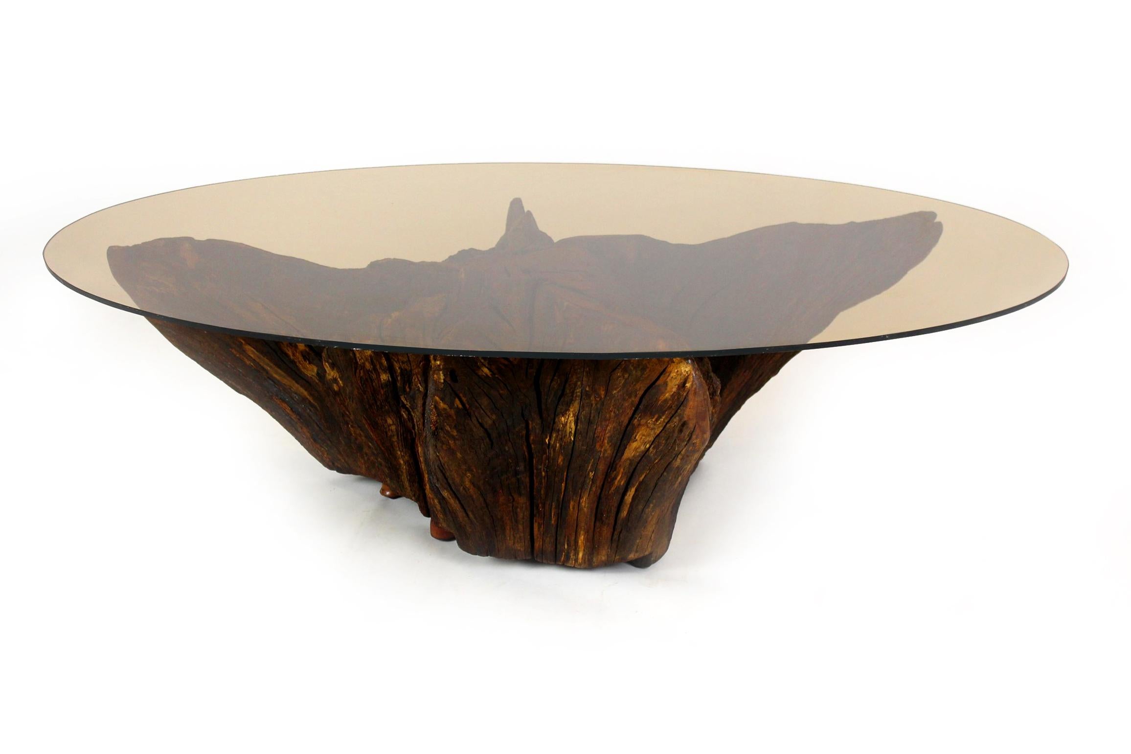 Mid Century Tree Root Coffee Table with Glass Top 11