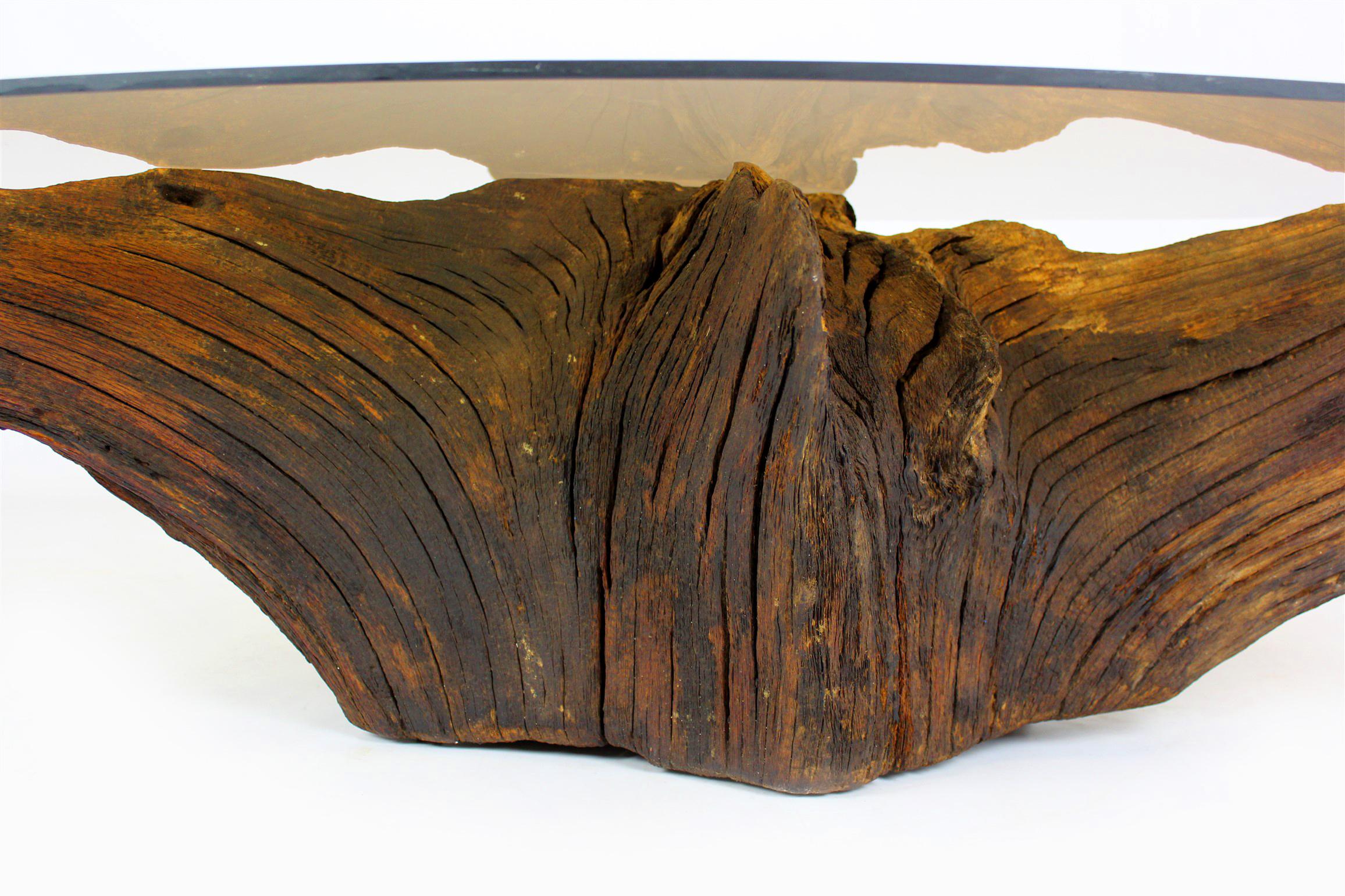 Mid Century Tree Root Coffee Table with Glass Top In Good Condition For Sale In Żory, PL