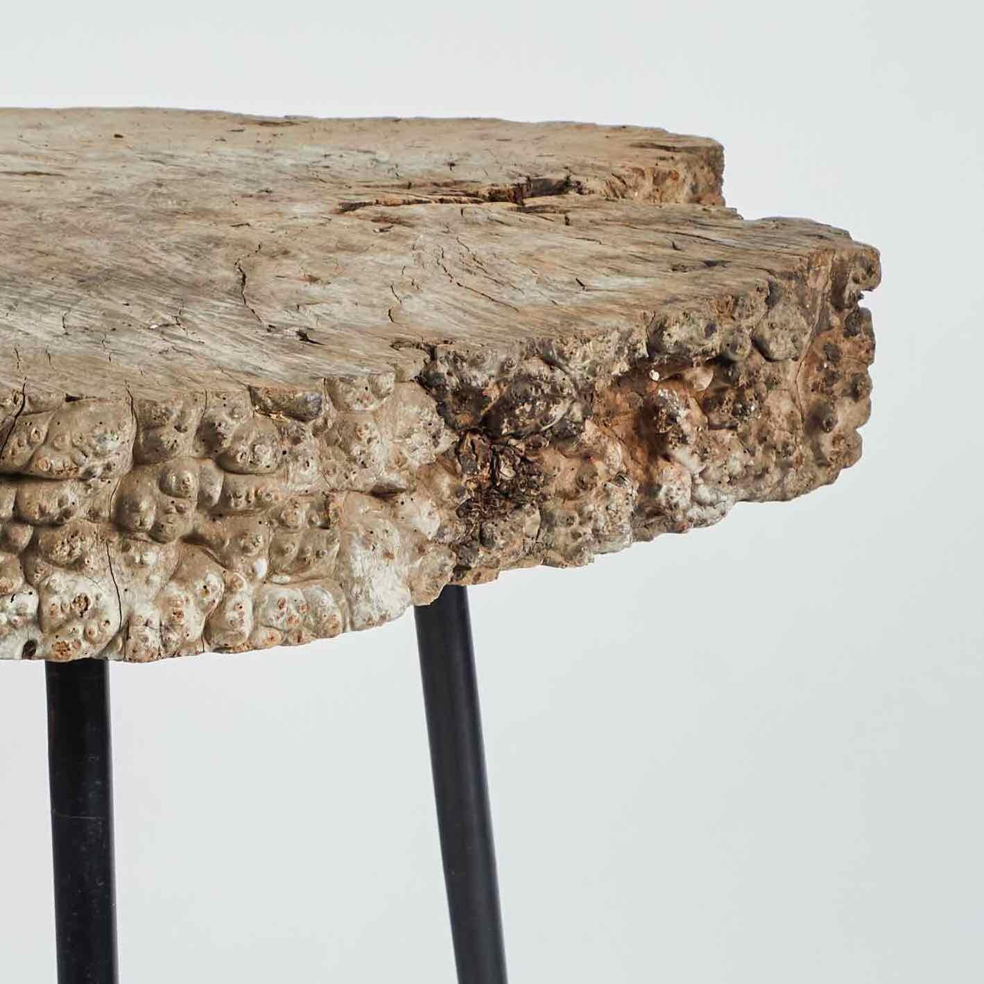 Mid-century tree trunk table with slim metal legs from France. 