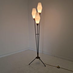Mid Century Tripod Floor Lamp with Opaline Glass and Brass, Italy 1950's