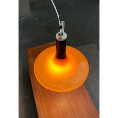 Mid-Century Tulip Glass Pendant Lamp from Peill & Putzler, 1960s