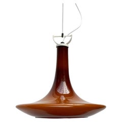 Mid-Century Tulip Glass Pendant Lamp from Peill & Putzler, 1960s