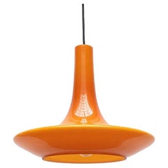 Mid-Century Tulip Glass Pendant Lamp from Peill & Putzler, 1960s