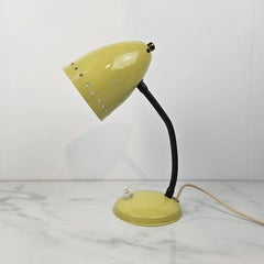Mid Century ‘Ukkie’ Desk Lamp by Hala Zeist, Netherlands, 1950s