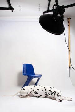 Mid Century Ultramarine Blue Kangaroo Chair, Ernst Moeckl, Germany, 1968