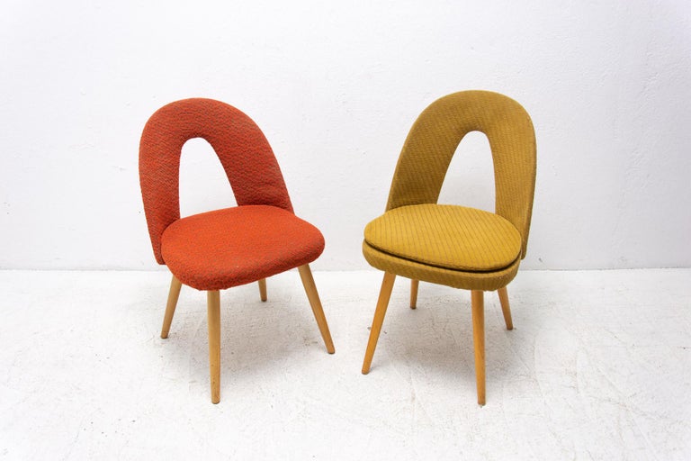 Mid-Century Modern Mid-Century Upholstered Dining Chairs by Antonin Suman, Set of 2 For Sale