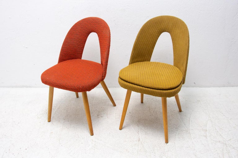 Beech Mid-Century Upholstered Dining Chairs by Antonin Suman, Set of 2 For Sale