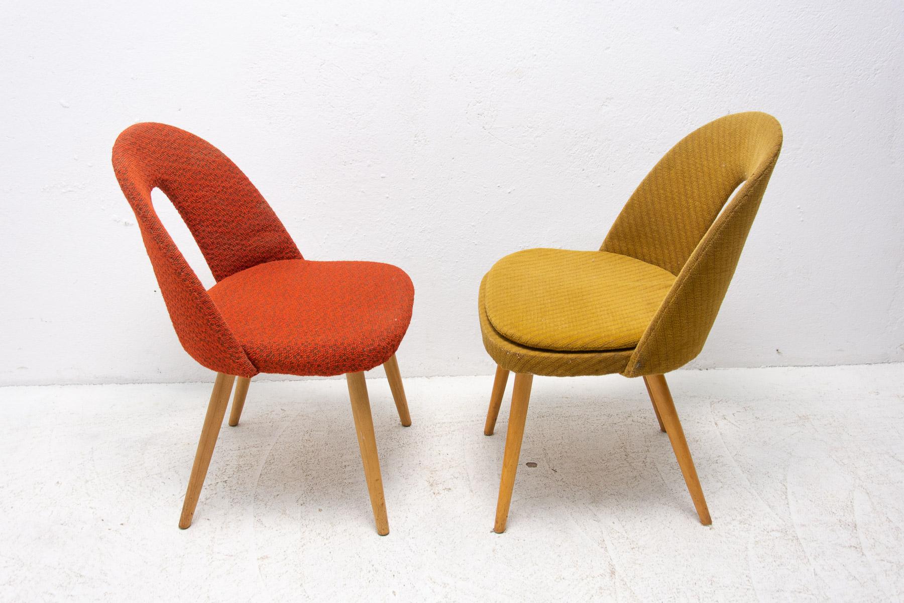 Mid-Century Upholstered Dining Chairs by Antonin Suman, Set of 2 1