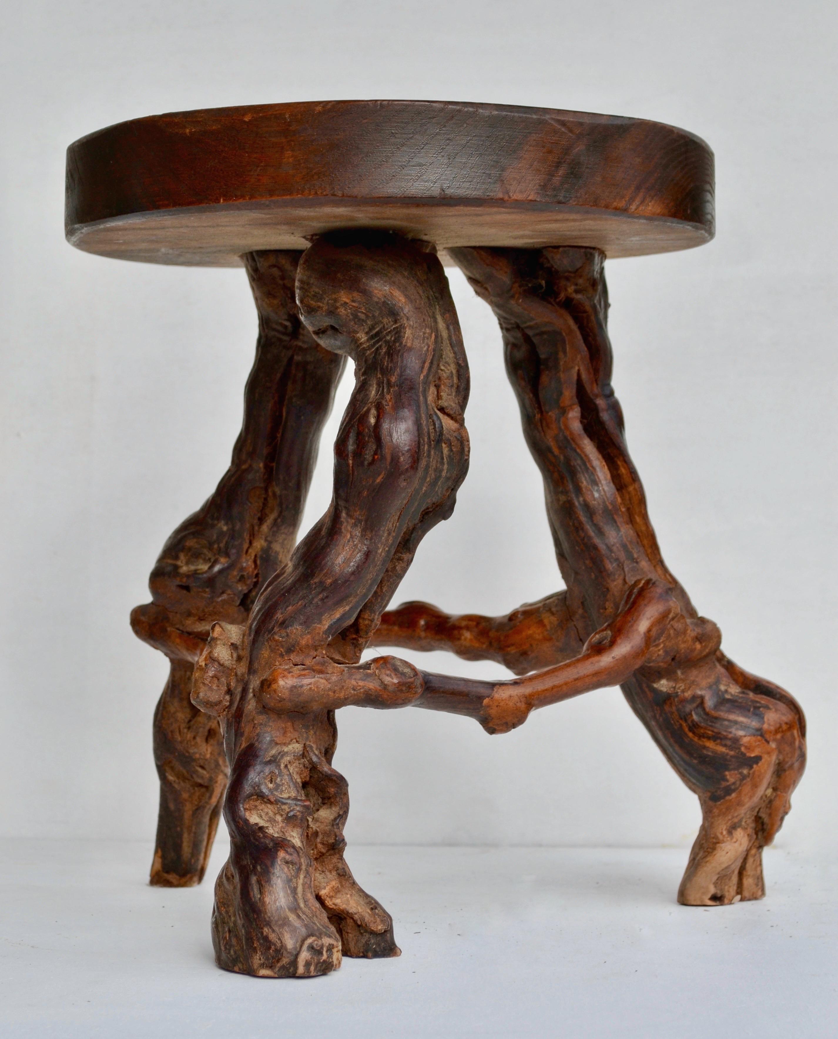 Unique low stool crafted from a natural vine root with a solid wood seat. This sculptural piece embodies the rustic modern aesthetic embraced by French designers of the 1950s and 1960s, who often used grapevine roots to create organic, one-of-a-kind