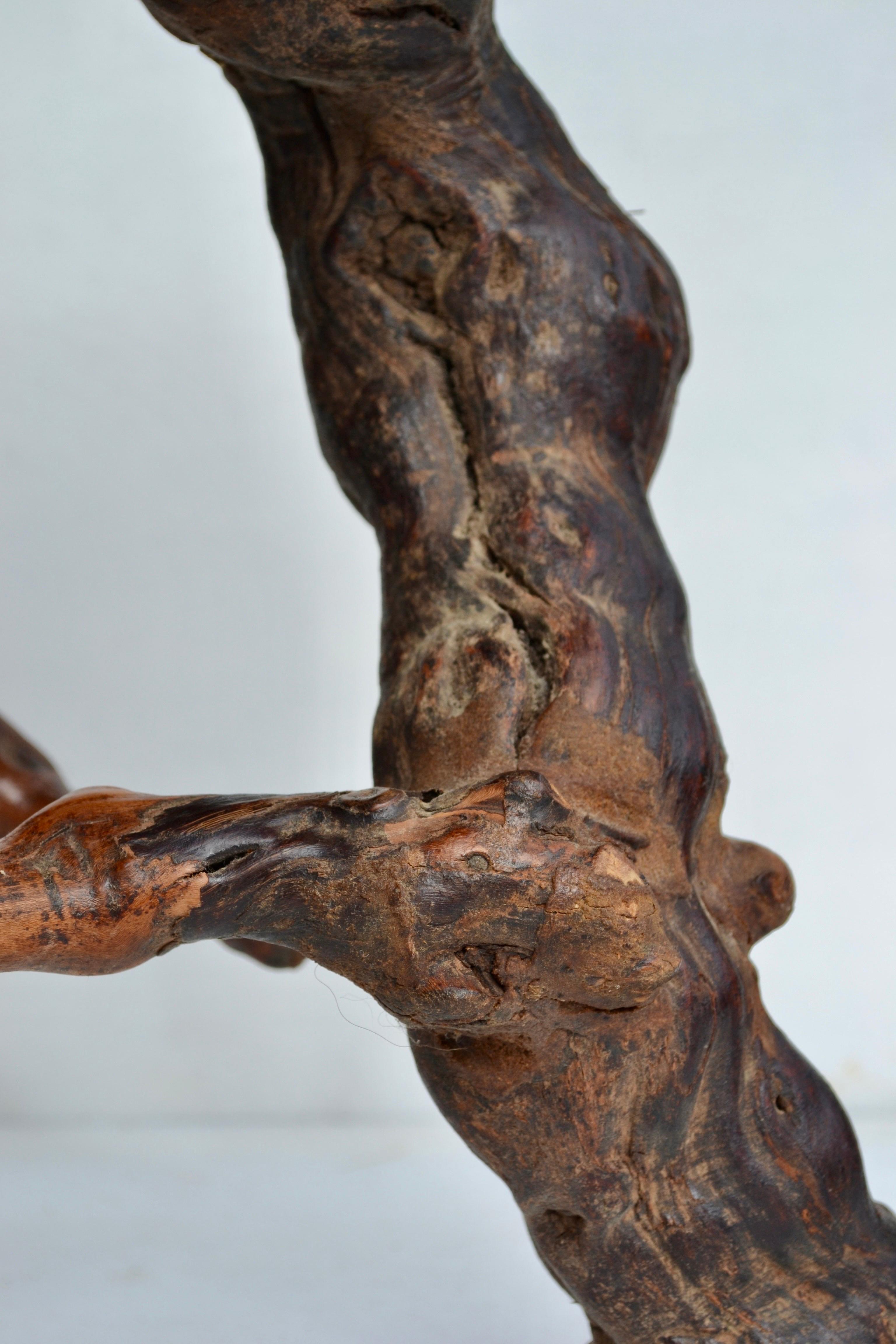 French Provincial Mid-Century Vine Root Stool, France, 1950s For Sale