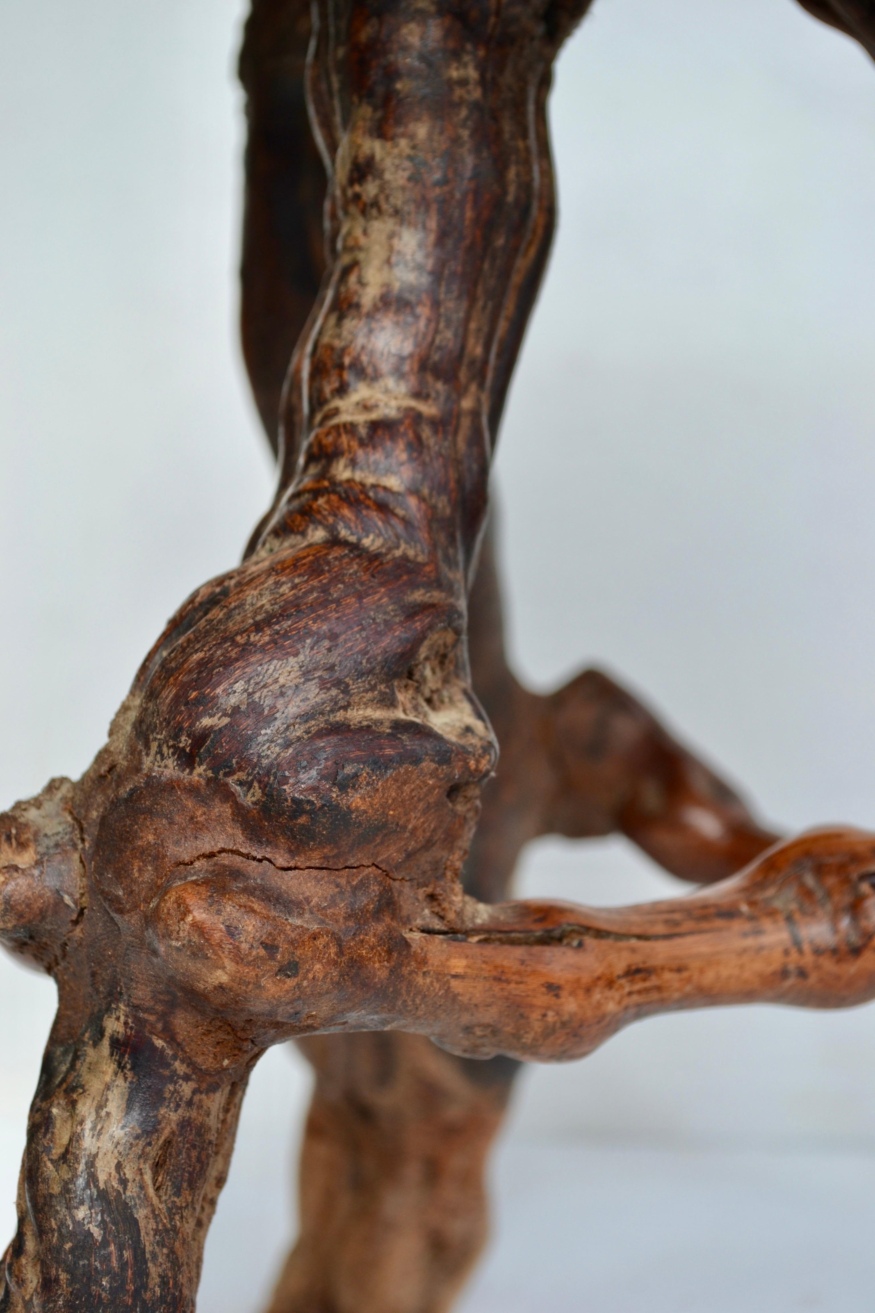 French Mid-Century Vine Root Stool, France, 1950s For Sale
