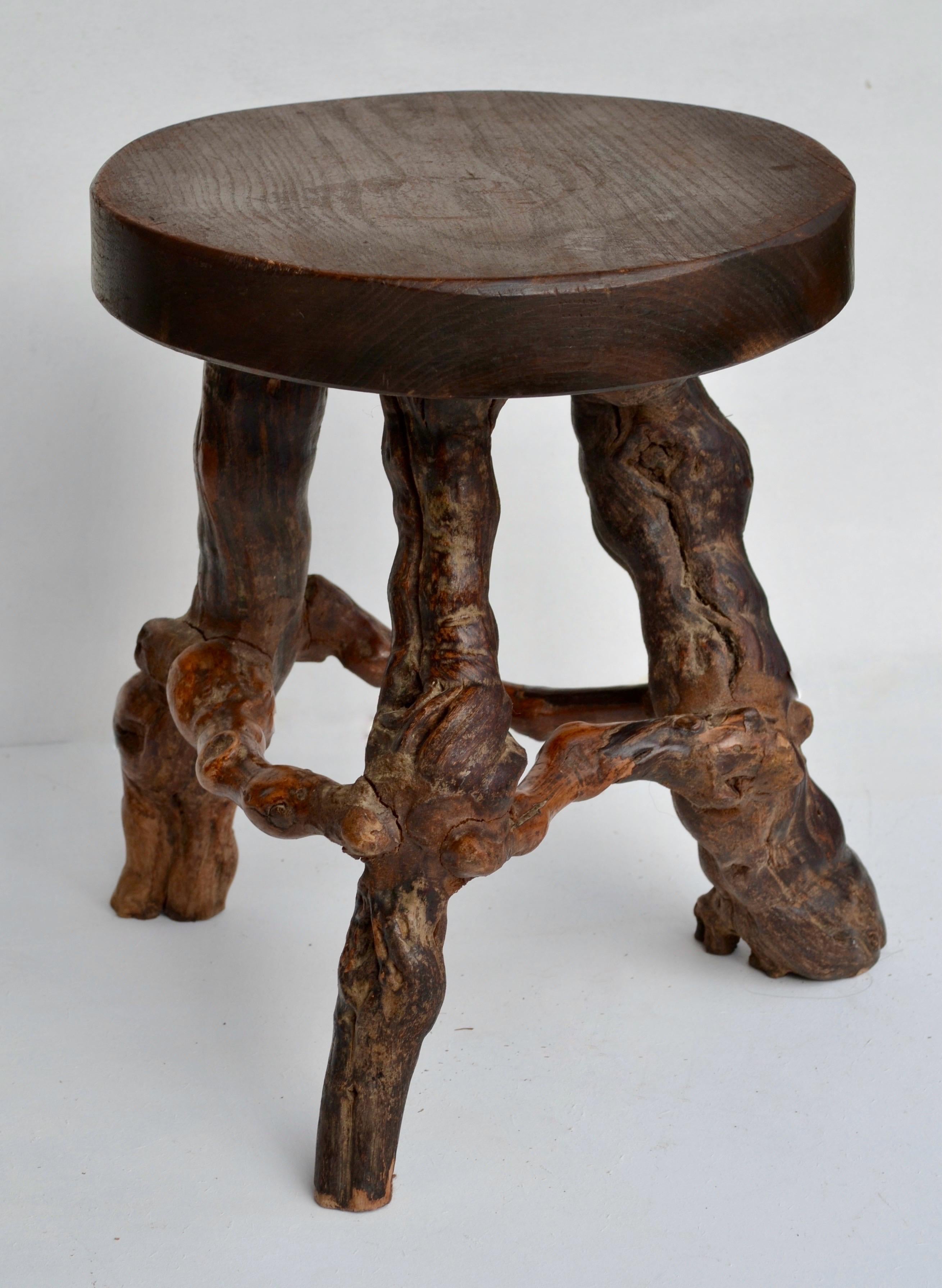 Mid-Century Vine Root Stool, France, 1950s In Good Condition For Sale In SOTTEVILLE-LÈS-ROUEN, FR