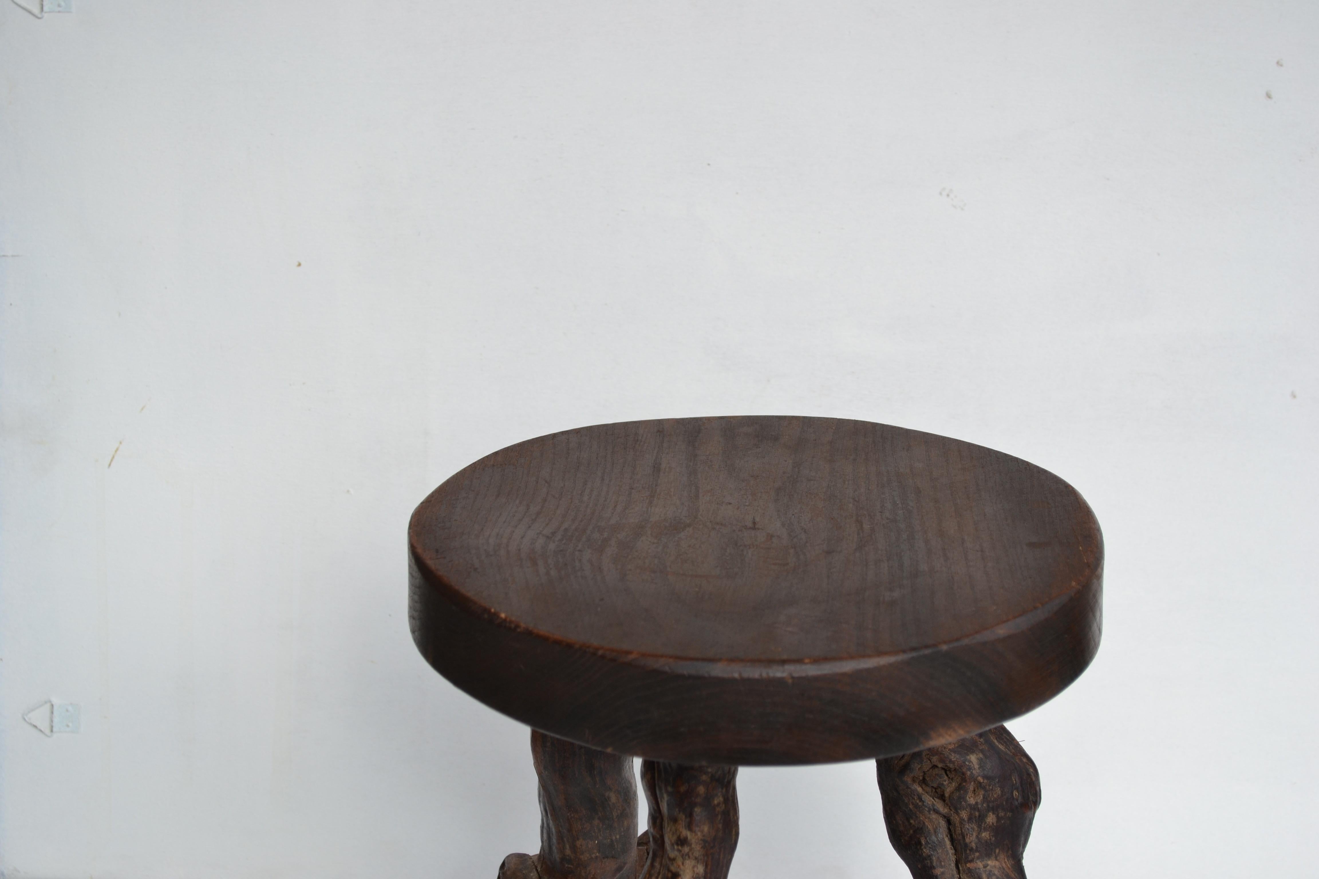 Mid-20th Century Mid-Century Vine Root Stool, France, 1950s For Sale