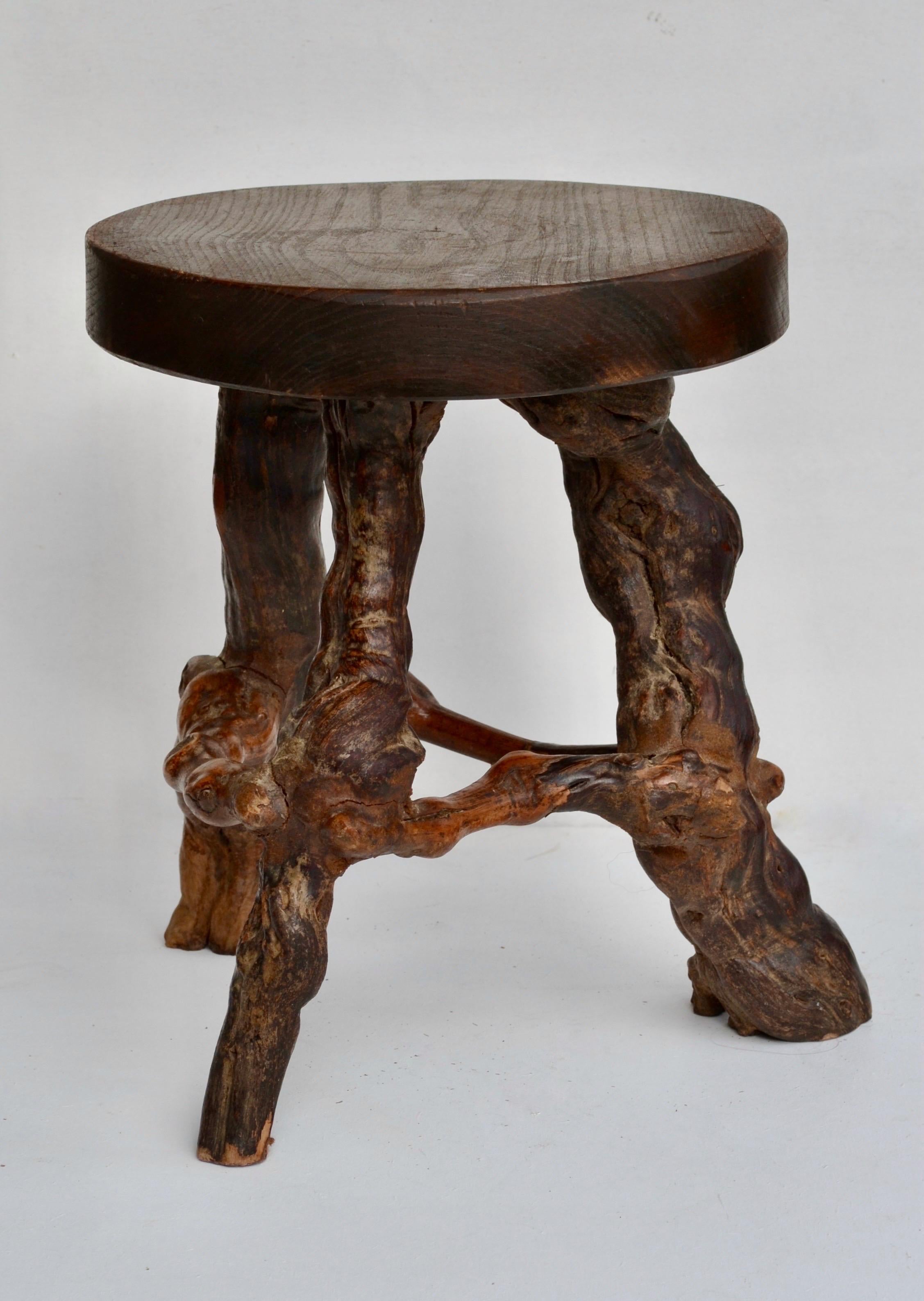Fruitwood Mid-Century Vine Root Stool, France, 1950s For Sale