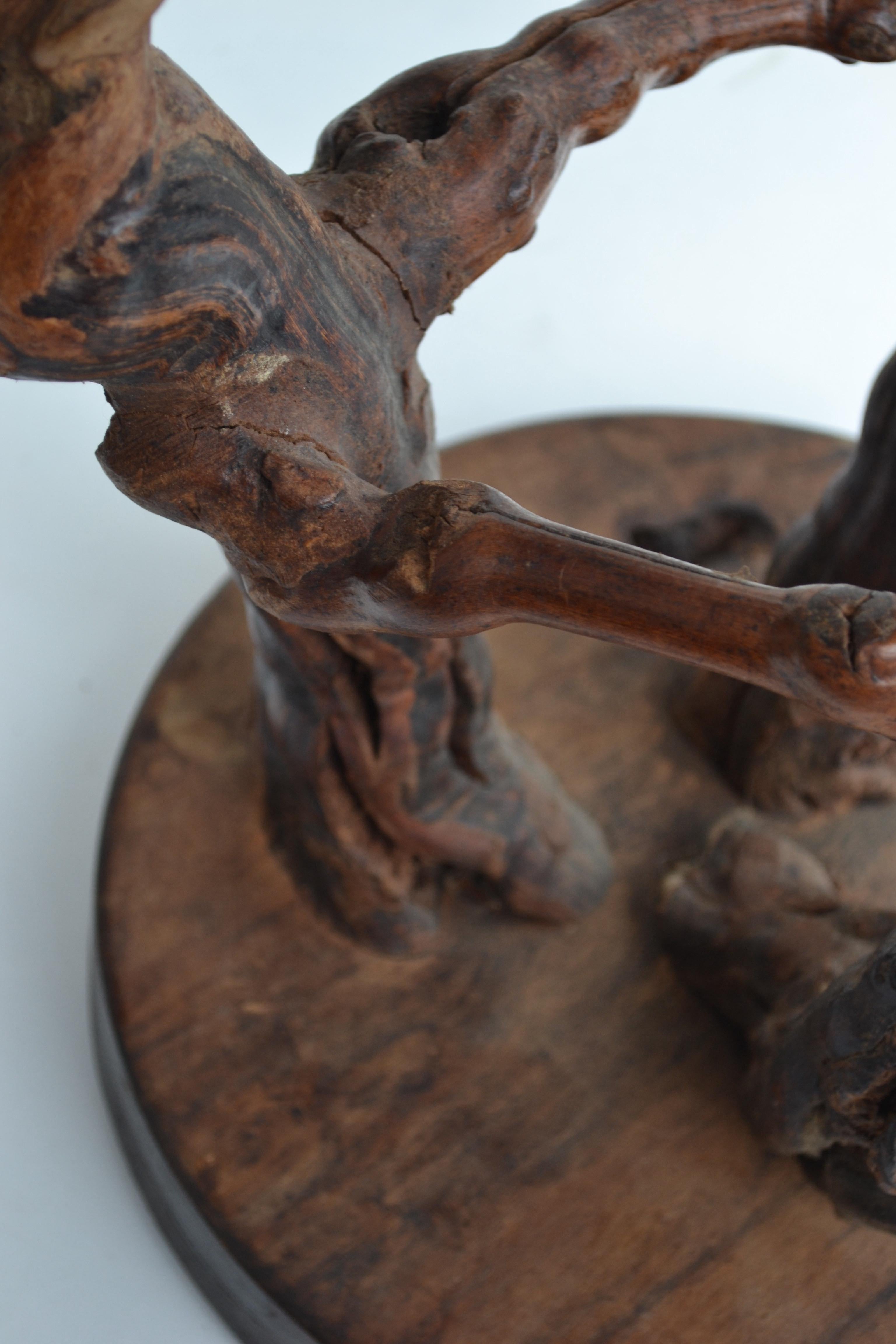 Mid-Century Vine Root Stool, France, 1950s For Sale 1