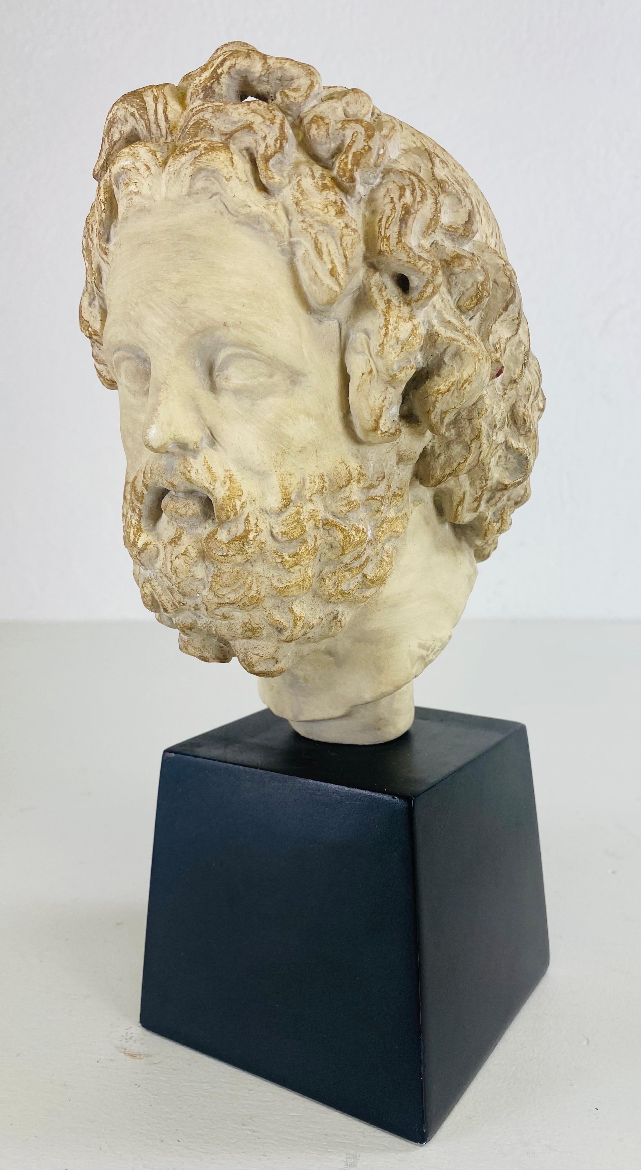 Busto classico greco-romano d'epoca della metà del secolo scorso di Alva Studios in vendita 3