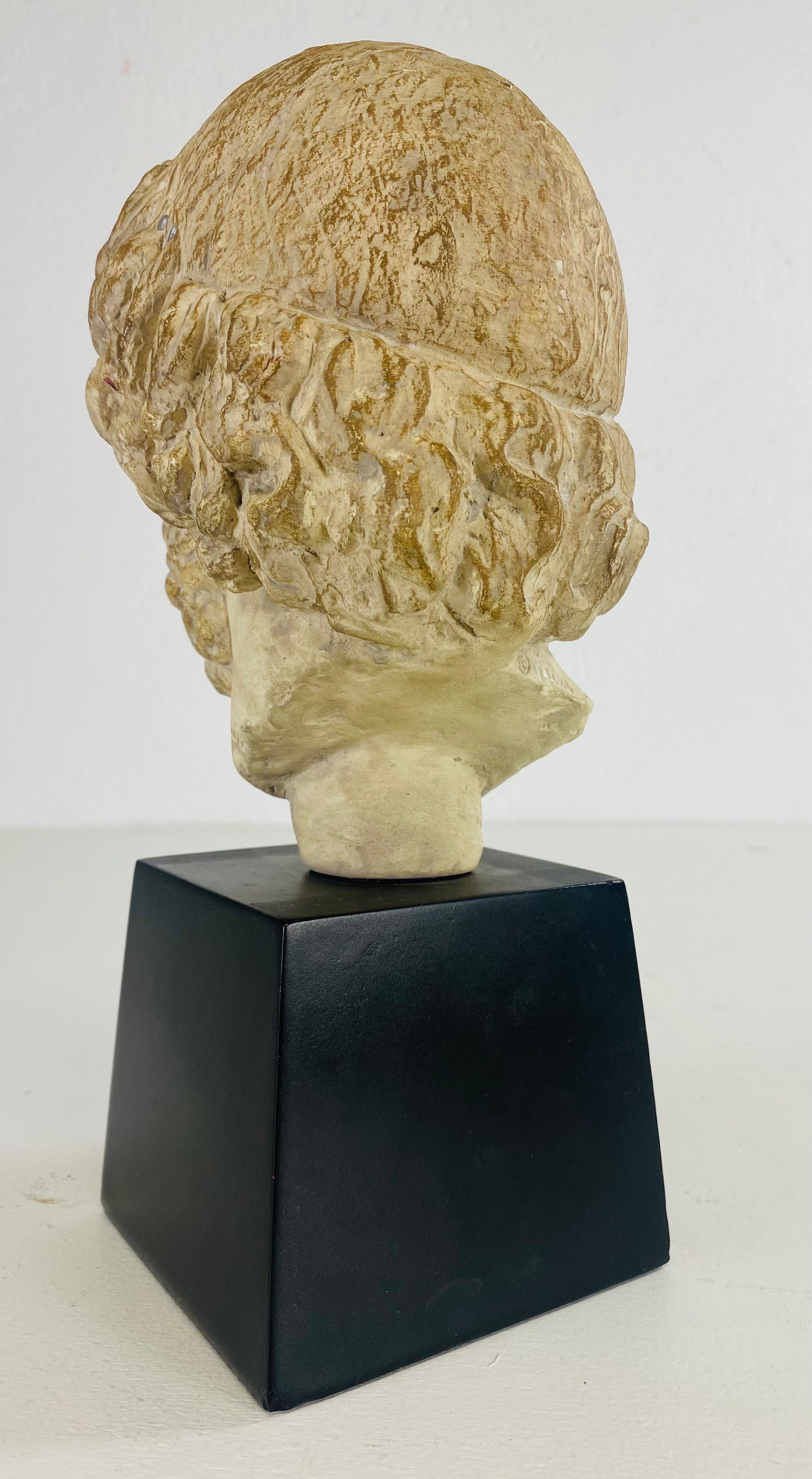 Fine XX secolo Busto classico greco-romano d'epoca della metà del secolo scorso di Alva Studios in vendita