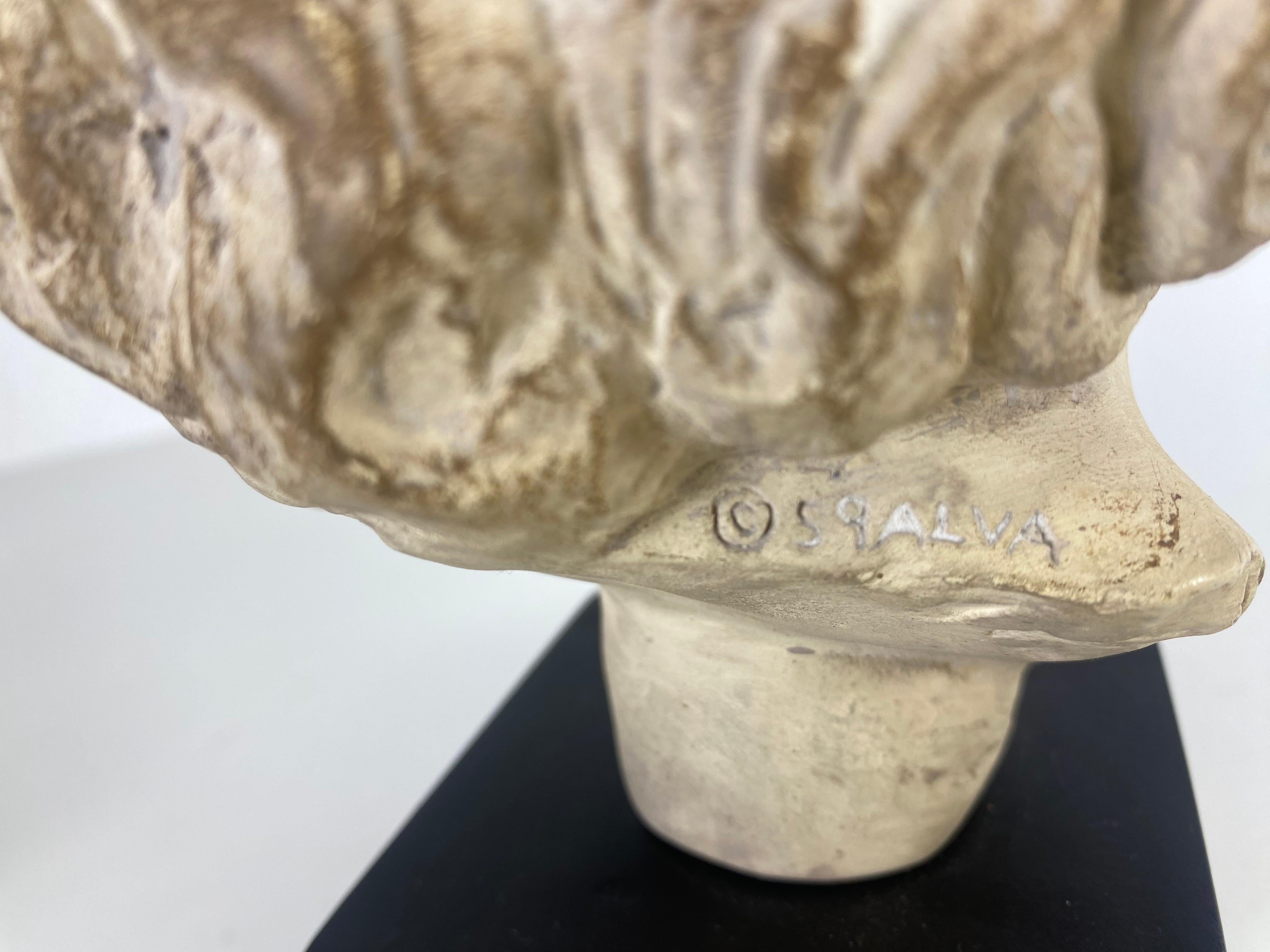 Intonaco Busto classico greco-romano d'epoca della metà del secolo scorso di Alva Studios in vendita