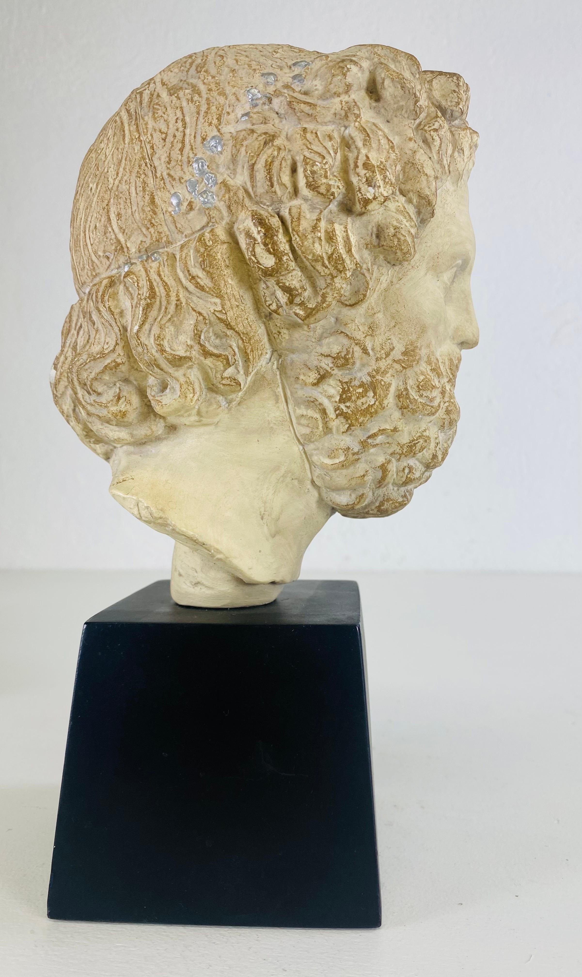Busto classico greco-romano d'epoca della metà del secolo scorso di Alva Studios in vendita 2