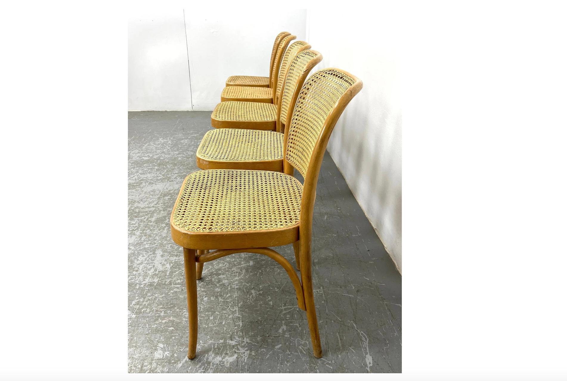 Mid Century Vintage Birke Cane Dining Chair von Josef Hoffman. Alle Beistellstühle in gebrauchsfertigem Vintage Zustand. (5) Stühle verfügbar, alle in gleichem Zustand. Hergestellt ca. 1950. Das Holz zeigt Patina und Verblassen.

Auflistung ist für