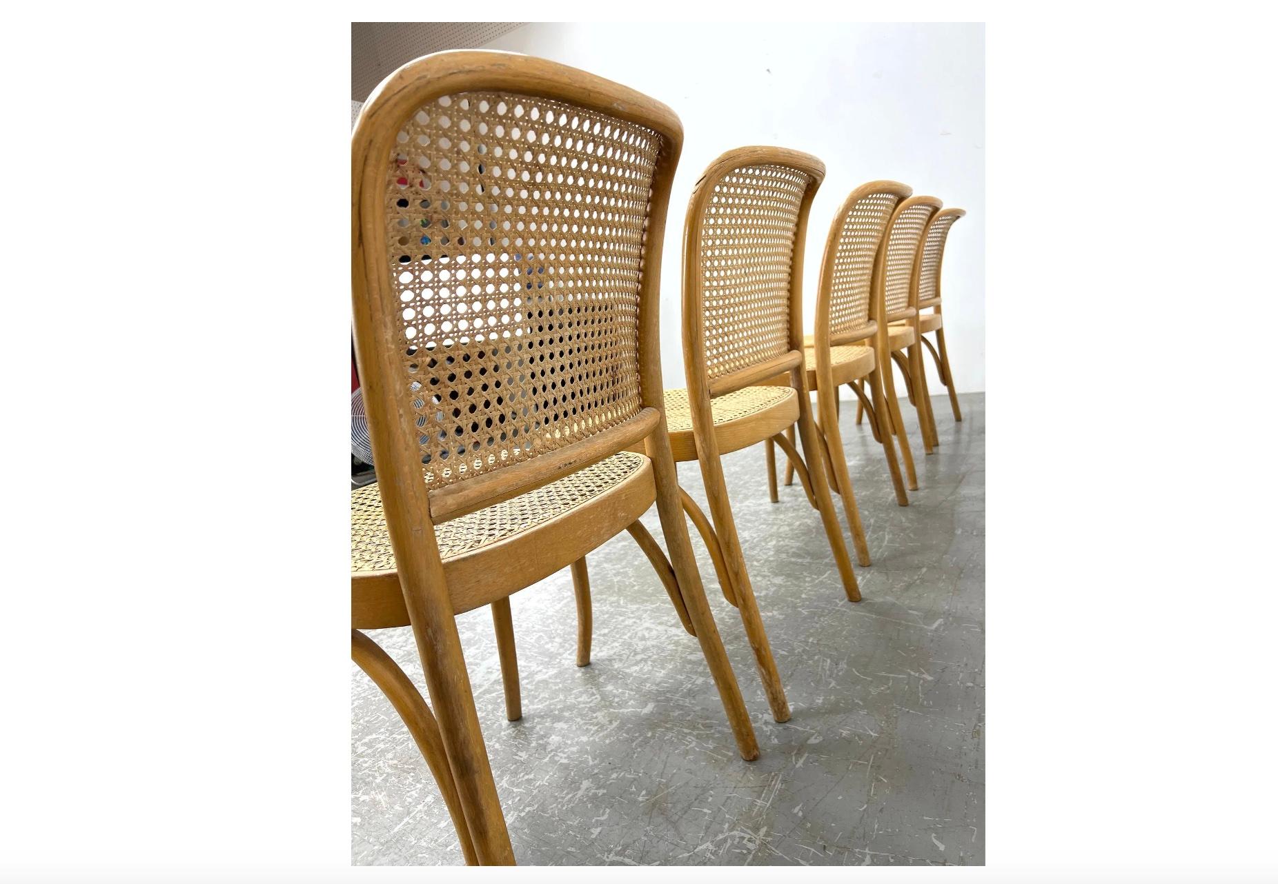 Esszimmerstuhl aus Birkenholzschilfrohr von Josef Hoffman, Mid-Century, 5 Stück verfügbar (Moderne der Mitte des Jahrhunderts) im Angebot