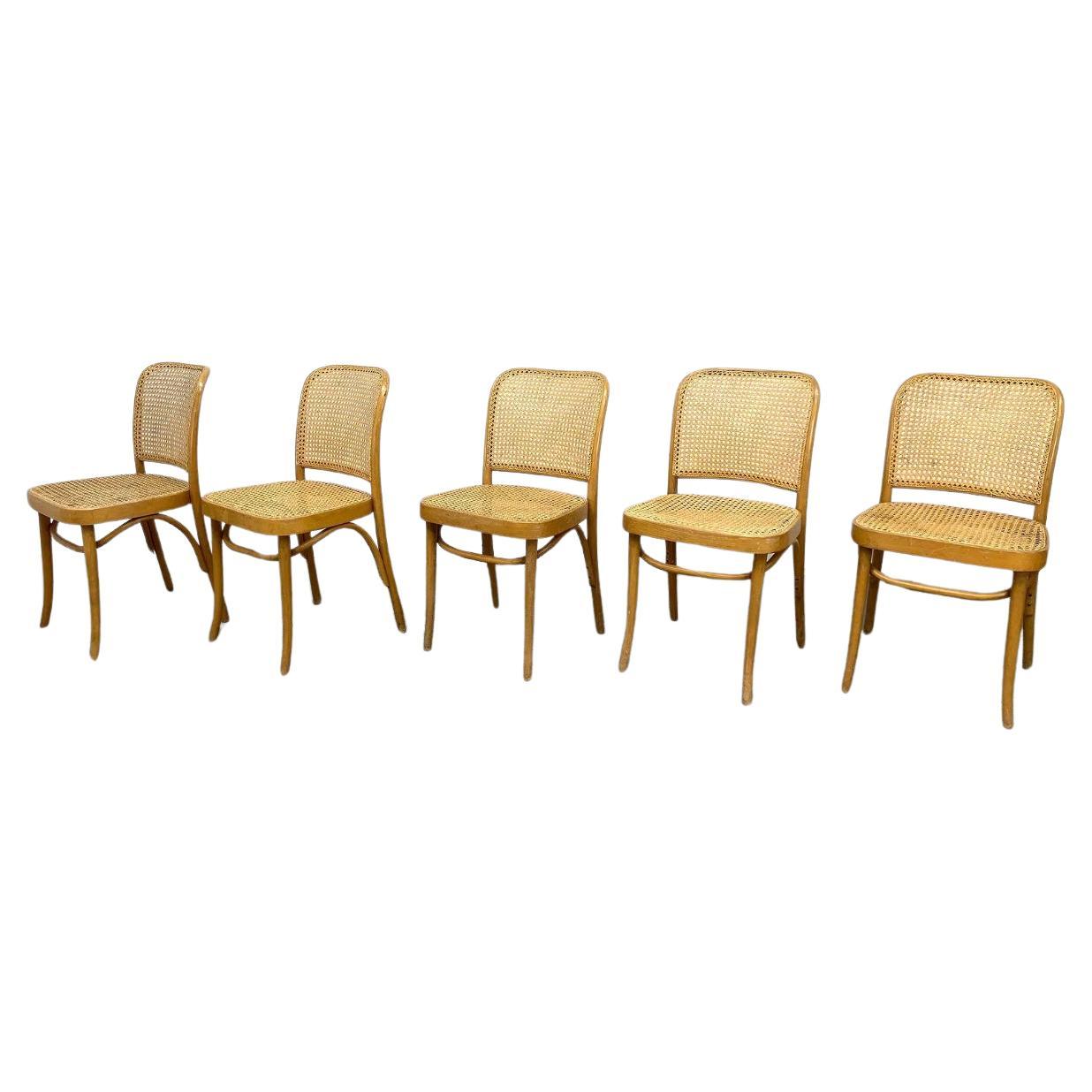 Mid Century Vintage Birch Cane Dining Chair by Josef Hoffman 5 Available