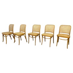Mid Century Vintage Birch Cane Dining Chair by Josef Hoffman 5 Available