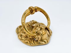 Mid Century Vintage massivem Messing Löwenkopf Türklopfer