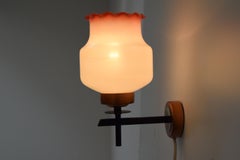 Mid-Century Wall Lamp, 1960's