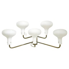 Mid-Century Wall Light " LP12" by Ignazio Gardella, Azucena, 1960
