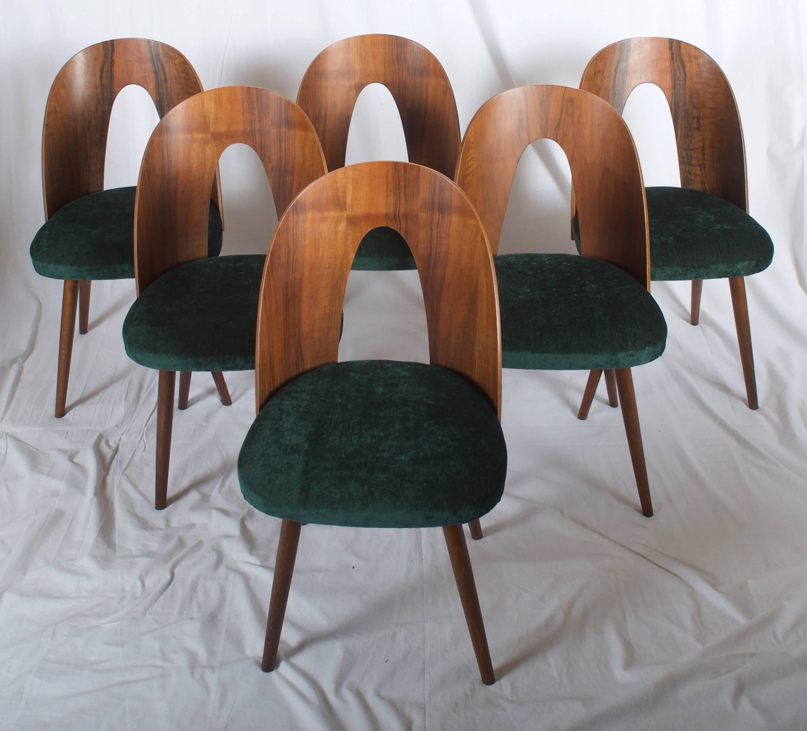 Mid Century Walnut Dining Chairs by Antonin Suman for Tatra 3