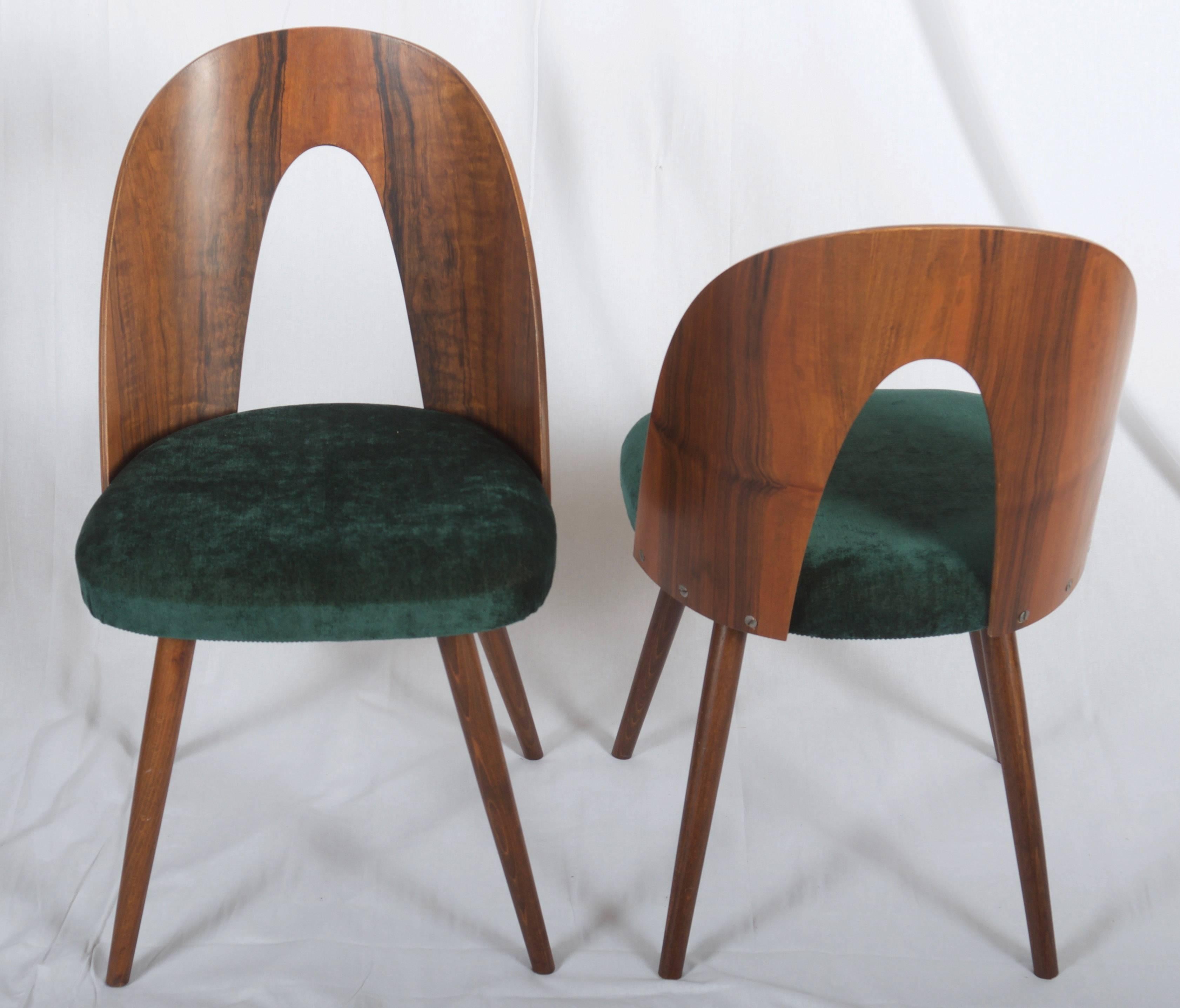 Walnut wood with walnut veneer, upholstered with emerald green velvet. Designed by Antonin Suman in the 1960s for Tatra in Czechoslovakia. The final color of the upholstery can be customized (upholstery cost incl. but not the fabric cost) 
Up to 24