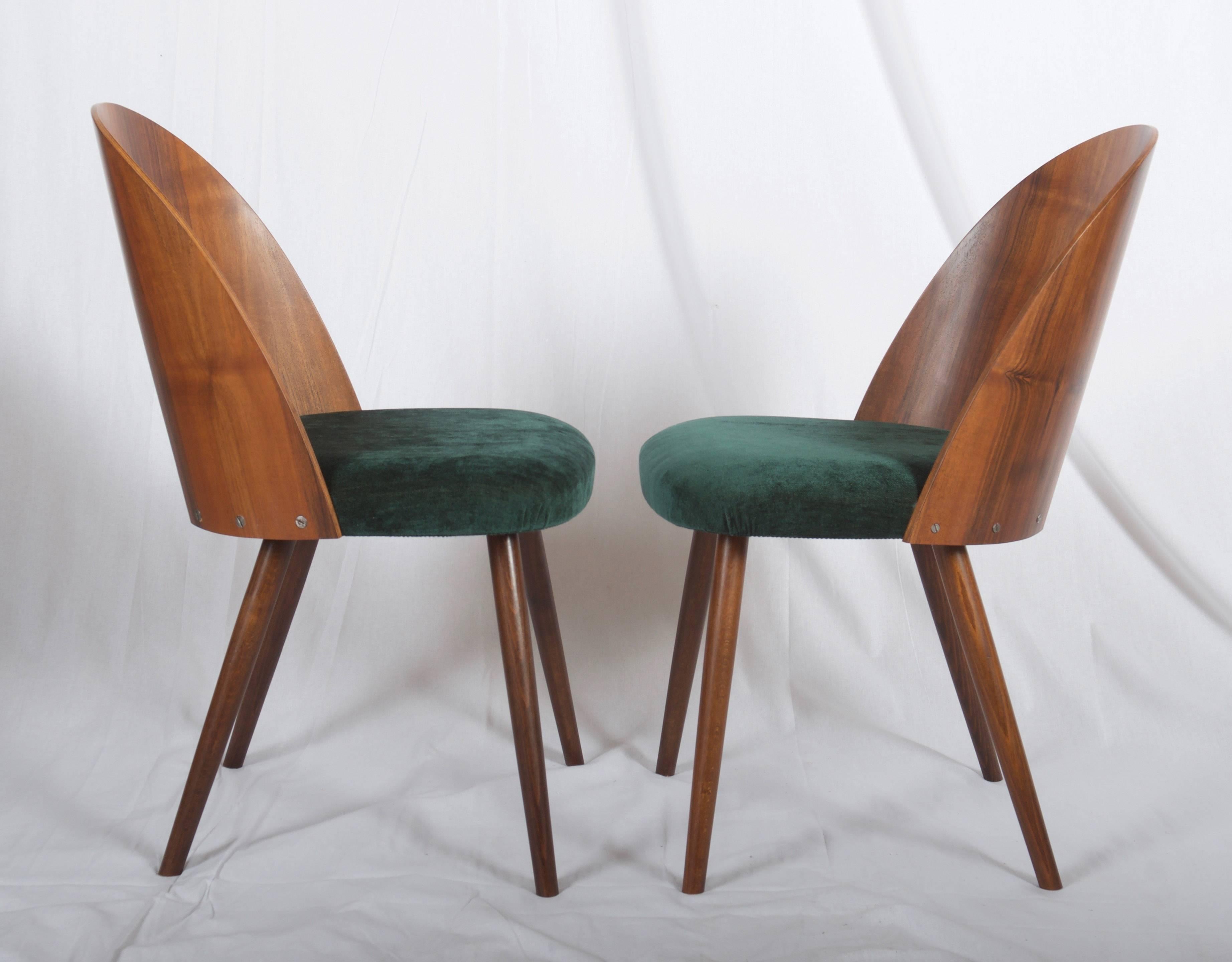 Mid Century Walnut Dining Chairs by Antonin Suman for Tatra In Excellent Condition In Vienna, AT