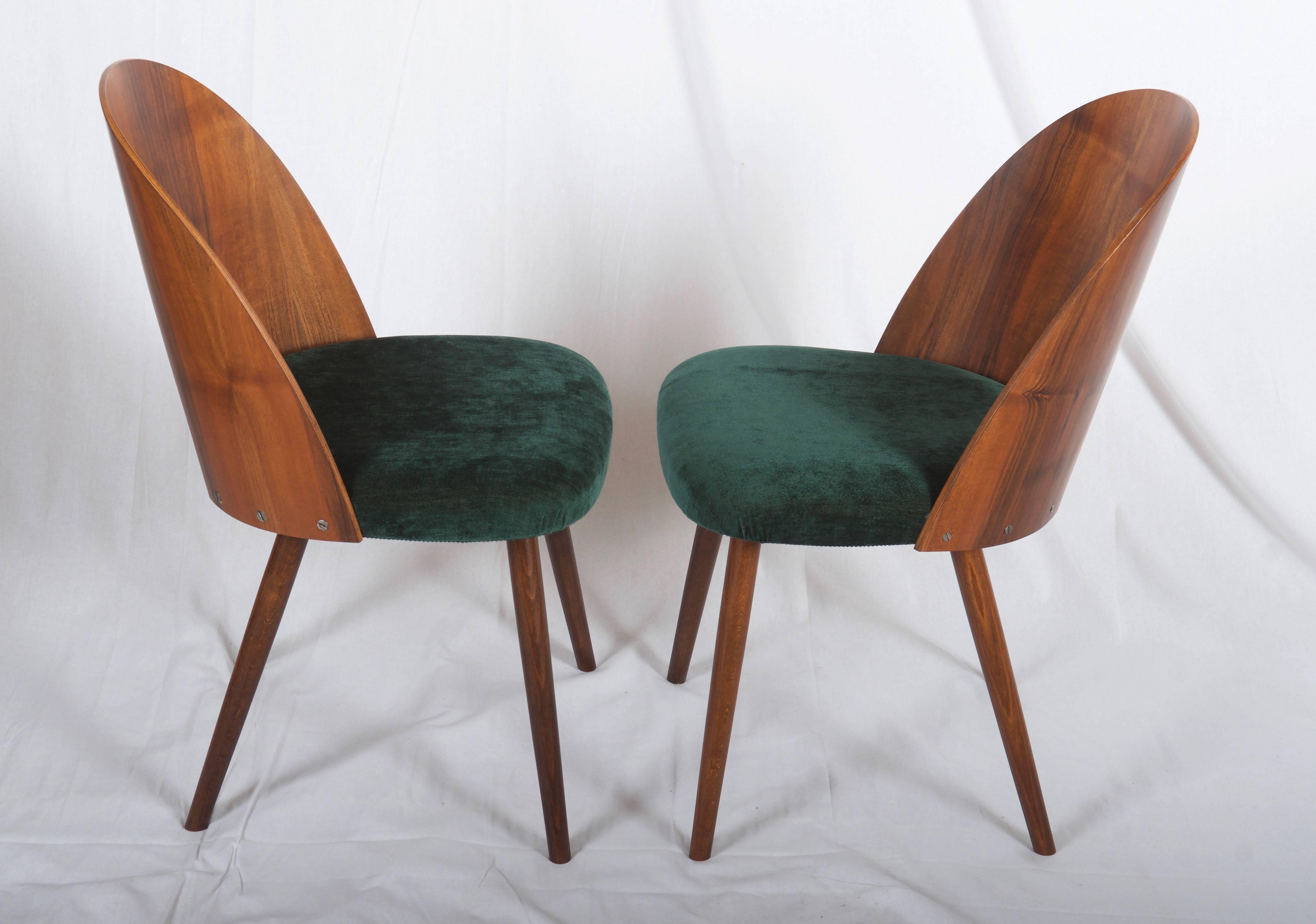 Mid Century Walnut Dining Chairs by Antonin Suman for Tatra 1