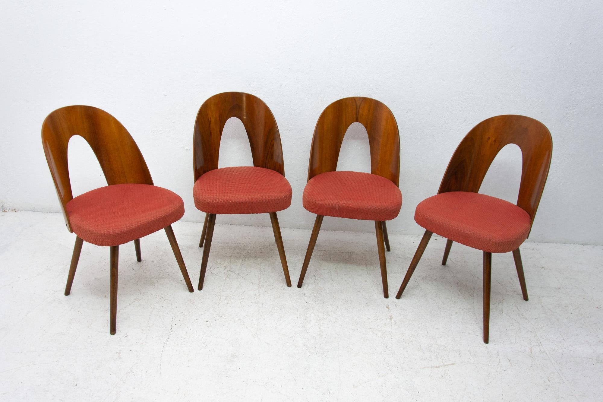 Scandinavian Modern Midcentury Walnut Dinning Chairs by Antonín Šuman for Tatra Nábytok, Czechosl