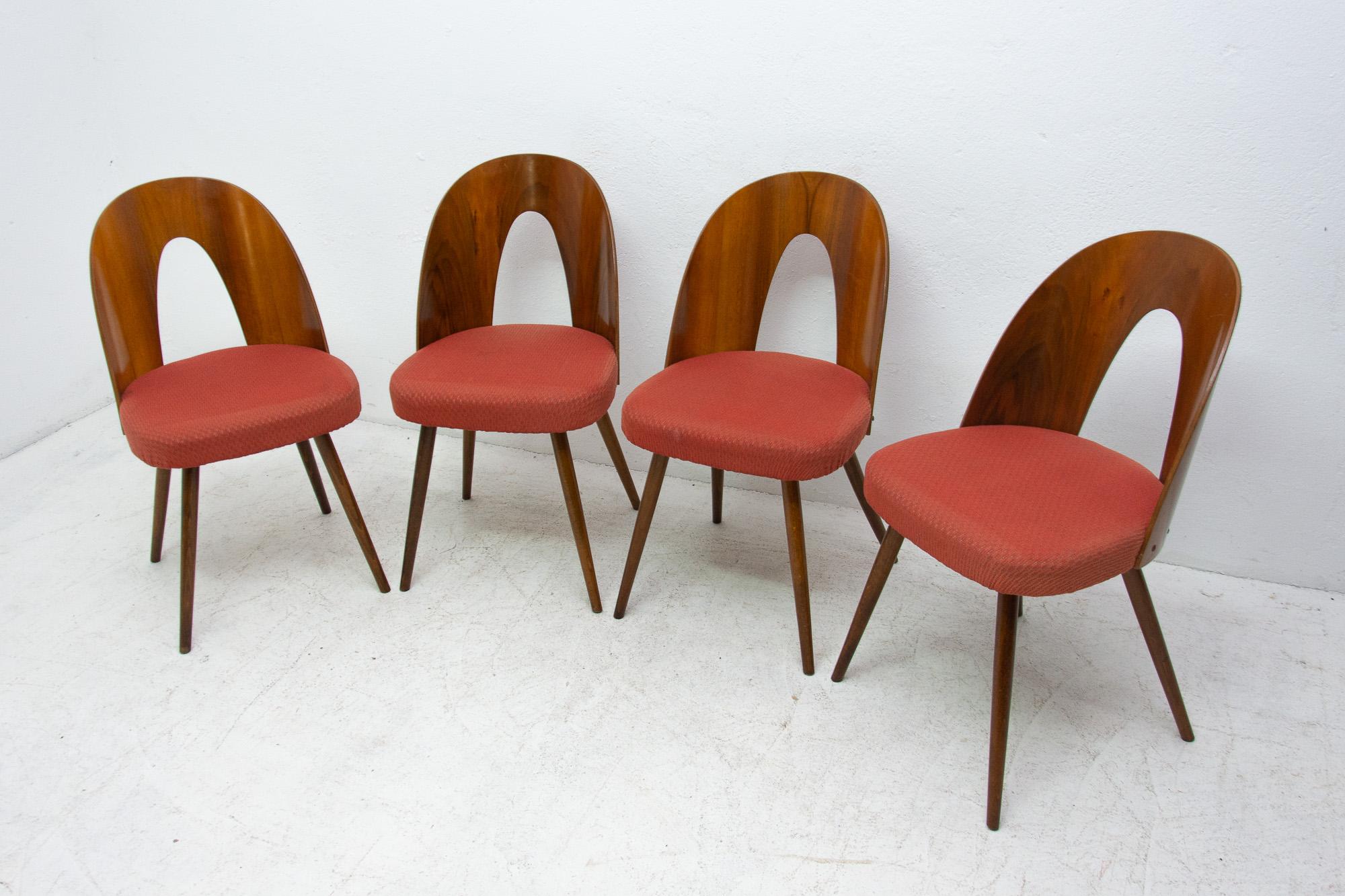 Veneer Midcentury Walnut Dinning Chairs by Antonín Šuman for Tatra Nábytok, Czechosl