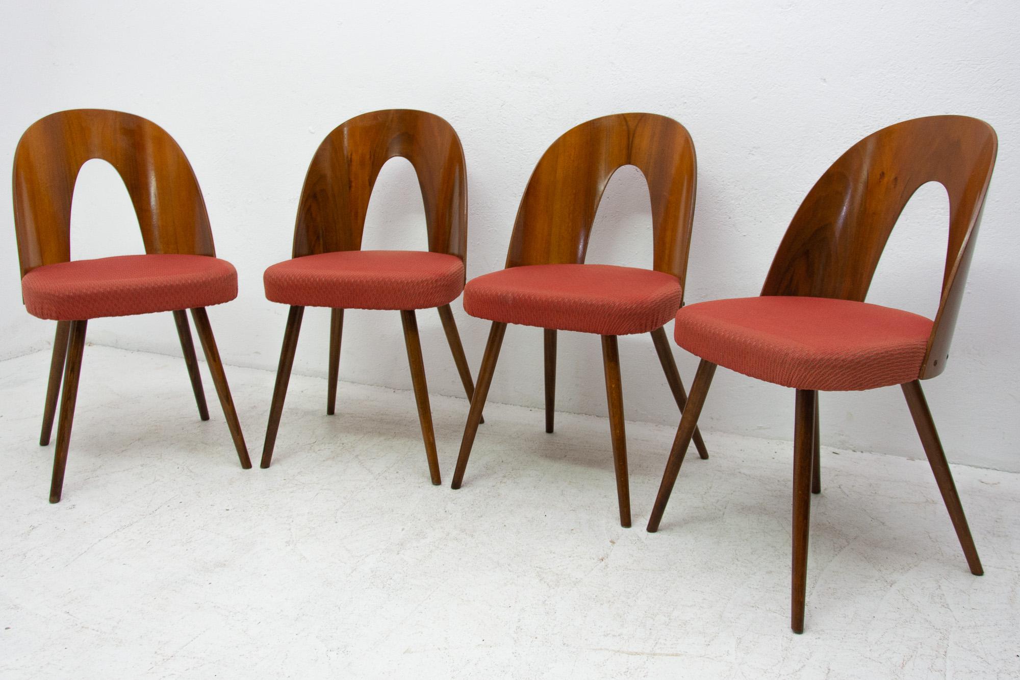 Midcentury Walnut Dinning Chairs by Antonín Šuman for Tatra Nábytok, Czechosl In Good Condition In Prague 8, CZ