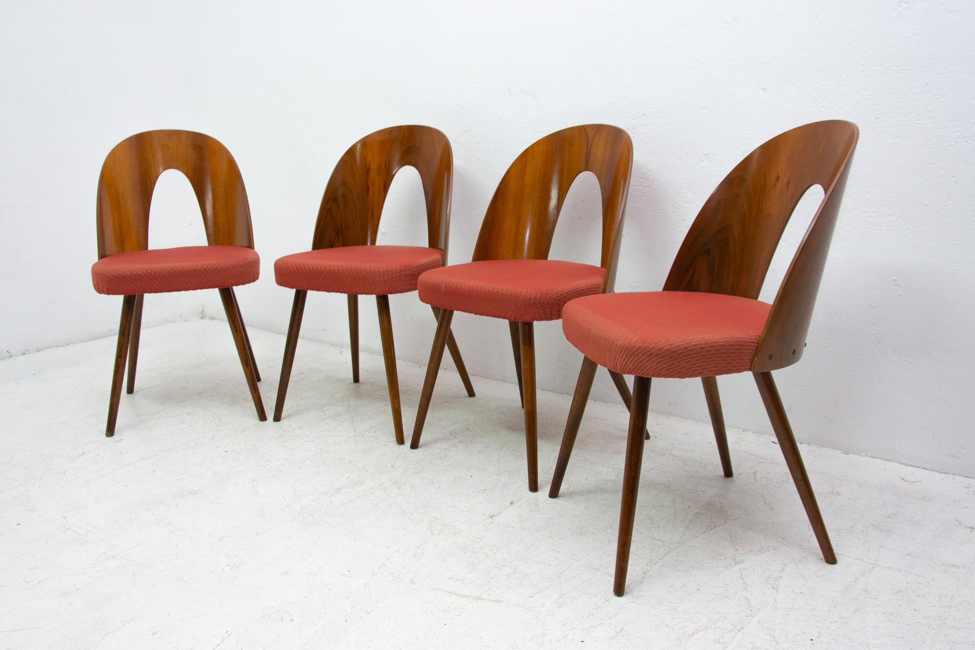 20th Century Midcentury Walnut Dinning Chairs by Antonín Šuman for Tatra Nábytok, Czechosl
